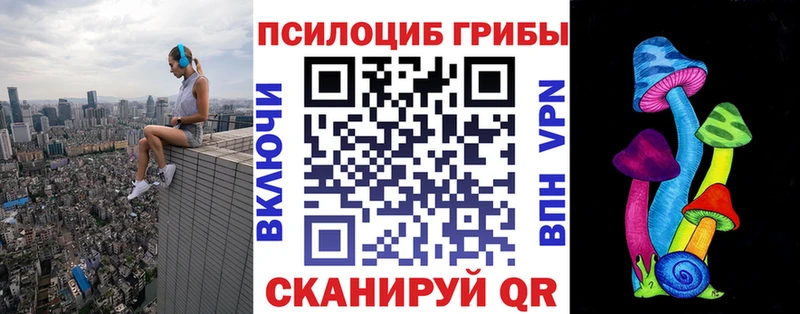 Псилоцибиновые грибы GOLDEN TEACHER  цена наркотик  Брянск 